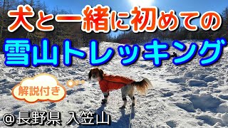 初めての犬と一緒に雪山登山＠長野県入笠山