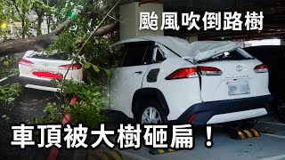 颱風天不只有泡水車？路樹不敵凱米狂風暴雨倒塌，砸中車頂直接壓出一個大凹陷－KIRIKAWA桐川