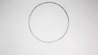 Shape Morph Loop