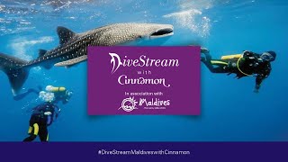 Divestream Episode Five -  Swimming With Nurse Sharks at Cinnamon Velifushi