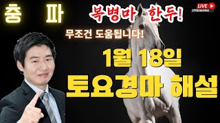 경마에 미치다 1월 18일 토요경마 해설 충파의 복병마 여기서 끝