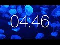 19 minute timer with ambient music jellifish