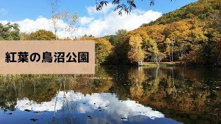 【富良野観光物語】2019.秋.vol.152　北海道・富良野　紅葉の鳥沼公園