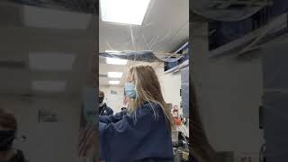 Physics 2021 - (2nd period) - VanDeGraaf hair