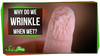 Why Do We Wrinkle When Wet?