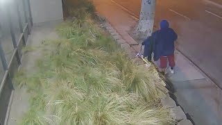 Security for Retail Center Break-ins and Theft