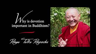 24. Why is devotion so important in Buddhism? | Answers for Beginners | Ringu Tulku Rinpoche