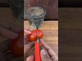 How to grow tomatoes from seed#shorts #youtubeshorts #timelapse #tomato #ytshorts #garden