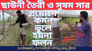 অল্প খরচে পলি শেড তৈরী করে গ্রীস্মকালীন টমেটো চাষে সফল।Osomoy Planting Tomatoes।Poly House।Shade Net