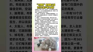 “布偶猫”颜值那么高，为什么很少有人饲养？#萌宠 #养猫 #养狗 #猫咪 #萌宠出道计划 #养猫小百科#猫 #cat #pets #cute