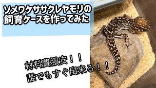 【初心者必見】ソメワケササクレヤモリの飼育ケースを自作する【低予算DIY】