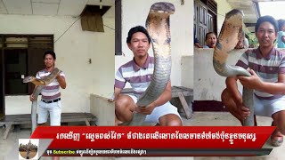 រកឃើញ “ស្តេចពស់វែក” ធំជាងគេលើលោកដែលមានទំហំចង់ប៉ុនខ្លួនមនុស្ស, The biggest bra, Khmer news today