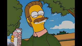 The Simpson- Ned Flanders Self-Excited Minutes !