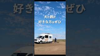 愛犬とオーストラリアで車中泊旅する男