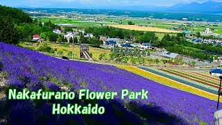 Nakafurano Flower Park | なかふらのフラワーパーク | #hokkaido #nakafuranoflowerpark #なかふらのフラワーパーク