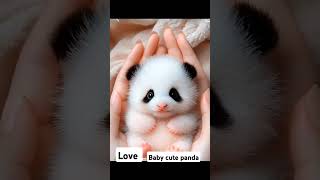 What a lovable cute baby panda. #youtubeshorts #animal #animallover #beautiful