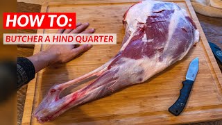 How To Butcher a DEER Hind Quarter