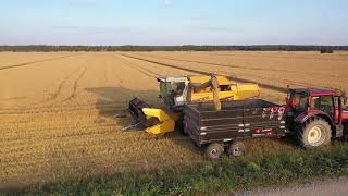 Harvest 2019