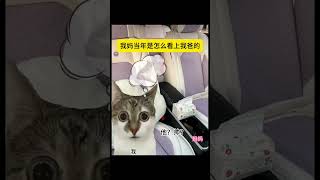 男大十八变 #喵不可言 #猫meme #funny #搞笑 #喵 #cat #喵星人 #男生 #shorts