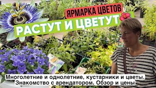 Ярмарка цветов. Обзор ассортимента и цен. Цветовод с 25летним стажем🌺