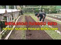 Lakukan ini pada raised bed, dan subur selamanya