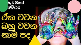 Eka Wachana , Bahu Wachana Nama padha grade 2,3,4 මව්බස  ඒක වචන, බහු වචන නාම පද 2,3,4 වසර I Nouns