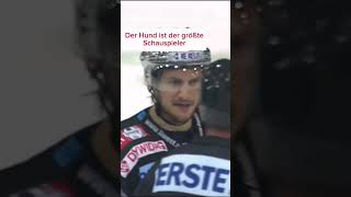 Eishockey Matschstrafe nach schauspielerei 😂 #eishockey #hockeyhighlights #hockey #highlights