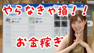 【ラグナロクオリジン】一番効率の良いお金稼ぎ(銅貨)【引きこもり女のゲーム実況】