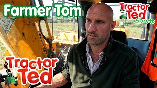 Let's Look At Farmer Tom On Father's Day 👩‍🌾 | Tractor Ted Shorts | Tractor Ted Official Channel