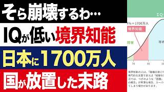 【2chニュース】衝撃…境界知能の日本人が1700万人、7人に1人が該当、就職や生活がまともにできない現実【時事ゆっくり】