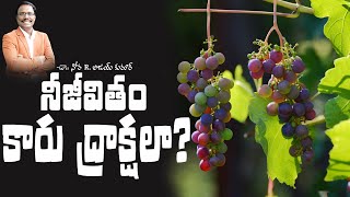 నీజీవితం కారు ద్రాక్షలా ? - Are you yielding wild grapes - Dr. Noah