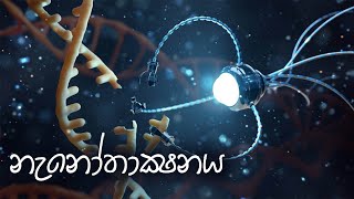 නැනෝ තාක්ෂණය  සරලව  (  Nanotechnology ) | science sri lanka | technology sinhala