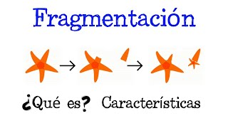 💥 ¿Qué es la Fragmentación? 💥 [Fácil y Rápido] | BIOLOGÍA |