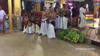 Poorakkali | Palakunnu temple | Bharani 2018