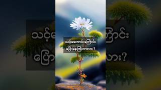 ဂရုမစိုက်ဘဲနေလိုက်ပါ #foryou #motivation #knowledge #shorts