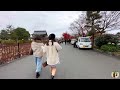 tolyo walk 京都の紅葉の見どころ 京都楓葉