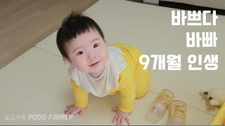 바쁘다 바빠 9개월 인생 (9개월 인생 살면서 사는 썰푼다)