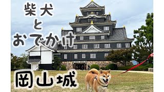 【犬と旅行】愛犬と楽しむ岡山•広島旅行（前編）