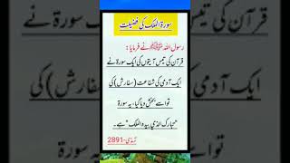 Surah mulk #hadees #hadeessharif #muhammad #shortsvideo #trending #farman Muhammad