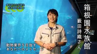 「水族館飼育員になりたいあなたへ」のメッセージ ～ 箱根園水族館 ～