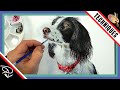 Painting Fur in Watercolor - 5 MORE Tips & Techniques (Dog Portrait)