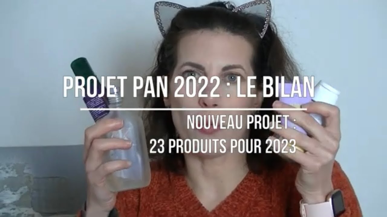 Bilan Annuel Du Projet Pan 2022 Et Nouveau Projet 2023 - Sommaire En ...