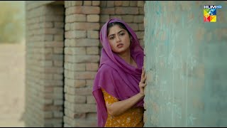 First Look Of Sajjal Ali's New Drama "Zard Patton Ka Bunn" 🍂 - Coming Soon - HUM TV