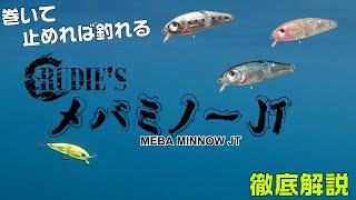 爆釣ミノープラグが超進化！え？その価格で？初心者でも簡単メバリング！メバミノーJT