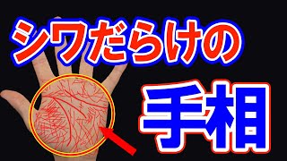 【手相】シワだらけの手相、メリットと注意点！手がしわしわなあなたは？