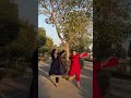 punjabi dance video dance bhangradancecover bhangradance punjabisong bhangracover