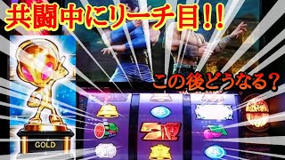 #351【スマスロ北斗の拳】設定4以上ってこんなエグイことになるの①