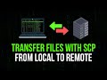 SCP Command Tutorial: Transfer Files Like A Server Admin