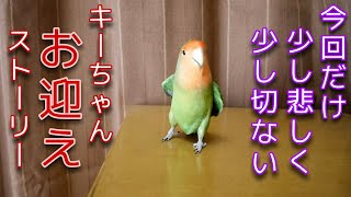 皆さまの心にも忘れられない子が居ますか？│キーちゃんお迎えの裏に切ない物語がありました