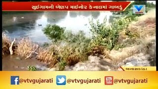 Banaskantha: સુઈગામની બેણપ Mainor Canal માં ગાબડું પડતા આસપાસના ખેતરોમાં પાણી ફરી વળ્યું | Vtv News